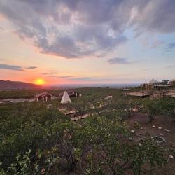 Фото Отель EcoHouse Glamping (ЭкоХаус Глэмпинг)