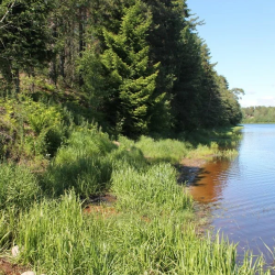 Фото Отель Алавойне