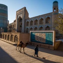 Фото Отель Orient Star Khiva (Ориент Стар )
