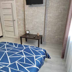 Фото Апартаменты на улице Псковская 3