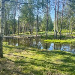 Фото Отель Хутор Vilppula (Вилпула)