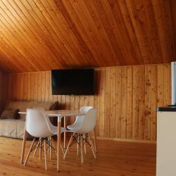 1-комнатные апартаменты люкс (мансарда)