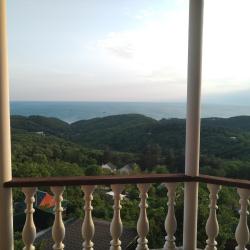 Фото Отель Дома в лесу