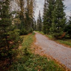 Фото Отель Озерки