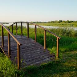 Фото Отель Zavidovo resort (Завидово Резорт)