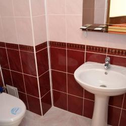 Фото Отель Гостевой дом Лев