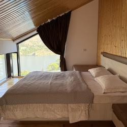 Коттедж премиум