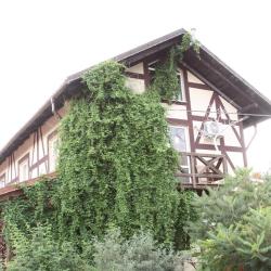 Фото Отель Ангел