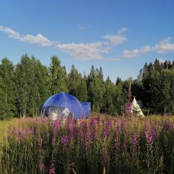 1-комнатные апартаменты люкс
