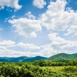 Фото Отель Приют странника