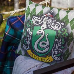 Коттедж стандарт Слизерин