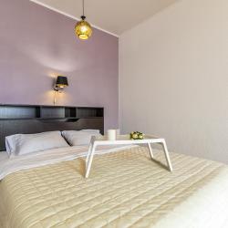 2-комнатные апартаменты улучшенные BeGuest Белинского 108