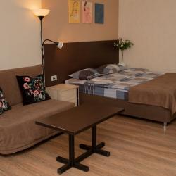 Комната люкс с 1 двуспальной кроватью