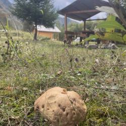 Коттедж эконом №1