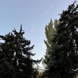 Каланча — f002d056d9c69f48be57fe5a06a5dae1