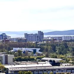 1-комнатные апартаменты люкс