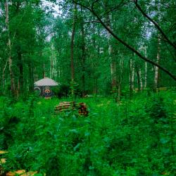 Фото Отель Лесная база «Папоротник»