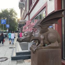 1-комнатные апартаменты стандарт