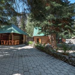 Фото Отель Гоначхир