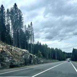 Фото Отель Ладога рядом