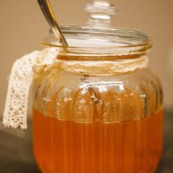 Фото Отель Dombay Winter Hall (Винтер Холл)