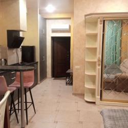 1-комнатные апартаменты студия 2.4