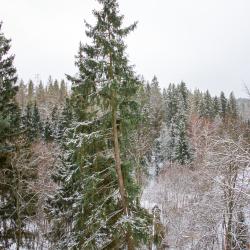 Фото Отель Марс Хауc