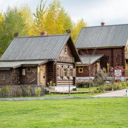 Фото Парк-отель Орловский