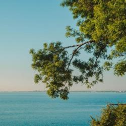 Фото Апарт-отель