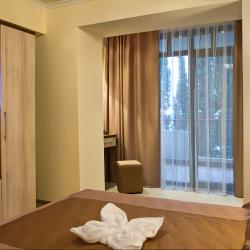 2-комнатный номер люкс (3 звезды)