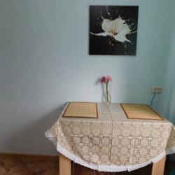 Фото Апартаменты на улице Волгина