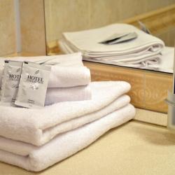 Номер стандарт с видом на парк