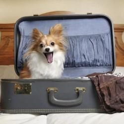 Фото Отель Калина на улице Никитина 32