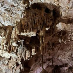 Фото Отель Фитнес лагерь 