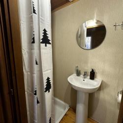 Фото Отель Лесное поместье