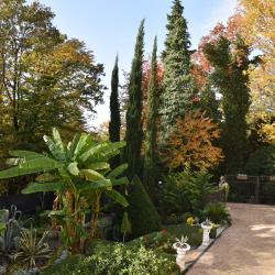 Романов — f0b0a9f0b370d40965521cd736461258