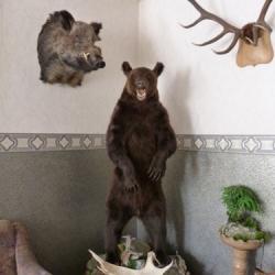 Фото Отель База отдыха им. Д.М.Карбышева
