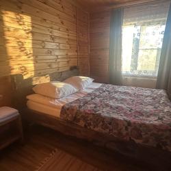 Фото Отель Дмитриевский