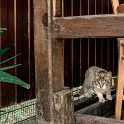 Фото Отель Provence (Прованс)