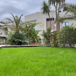 Фото Отель Little Palm (Литл Палм)