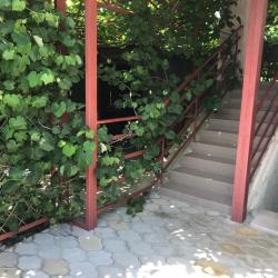 Фото Отель Альпийский двор