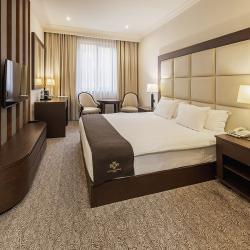 Номер делюкс с 1 двуспальной кроватью