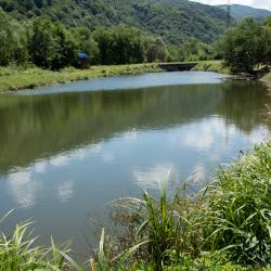 Фото Отель Архыз Триумф