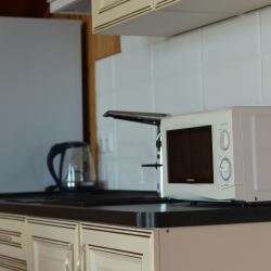 1-комнатные апартаменты люкс (мансарда)