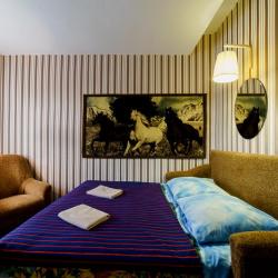 Фото Отель Родина