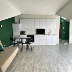 1-комнатные апартаменты студия