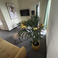 Фото Отель Little Palm (Литл Палм)