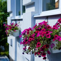 Фото Отель Галерея