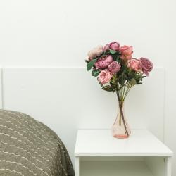 1-комнатные апартаменты улучшенные Белинского,  30 (9731)