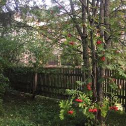 Фото Отель Ёжик